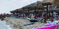КУРОРТЫ БОЛГАРИИ АТАКОВАЛИ КРЫСЫ