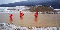Экологический переворот