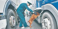 В специальных мерах нашелся товарный пробел