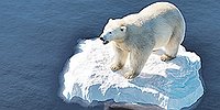 Стоит ли бояться глобального потепления