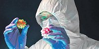 Ученые предупреждают: «Омикрон» нашел новые пути проникновения в организм