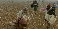 «Романтизация — один из инструментов для нормализации насилия»
