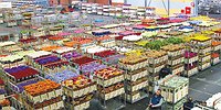 ЦВЕТОЧНАЯ РЕВОЛЮЦИЯ