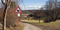 Осторожно: амфибии!