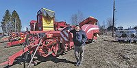 Что импортозаместишь, то и пожнешь