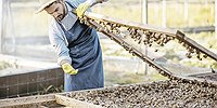 Улитка теперь на вес золотого слитка