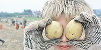 Картошка есть - и точка