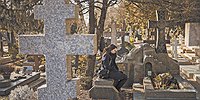 По живому