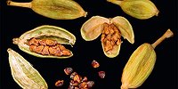 Нежнейшая пряность кардамон