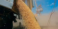 ВТБ не справился с зерном