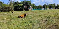 МИРНОЕ НА НАПРАВЛЕНИИ УДАРА