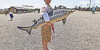 Уловы без уловок