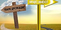 АЛТАЙСКИЙ ЗАПОВЕДНИК ОЛИГАРХОВ