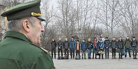 Временно годен