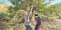 Круглое надувательство