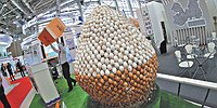 Птичий переполох