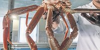 Крабовладельцы