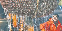 Рекордсмены по совместительству