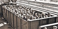 Мы до сих пор молчали о геноциде русских