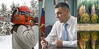 В лес и по дрова