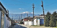 Что говорят о террористах их соседи и родственники