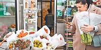 Красный свет для голландского тюльпана
