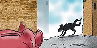 Вокруг собаки - чистота