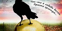 Птичий грипп летит к человеку