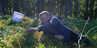 Как я зарабатывал миллион на сборе морошки и черники