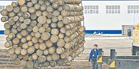 Подвижные критерии недвижимости