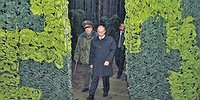 Владимир Путин снимает барьеры