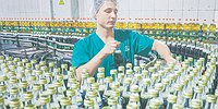 Налоговые вместо нефтегазовых