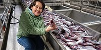 Как я ловил рыбу в Тихом океане