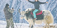 Новогодний отдых пошел в гору
