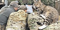 Боевое крещение курских «БАРС»