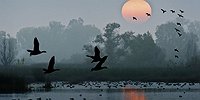 За гранью человеческого