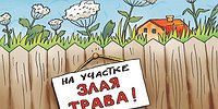 У россиян будут отбирать «бесхозные» участки (но есть нюанс)
