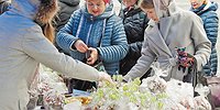 Пасхальный стол по божеской цене